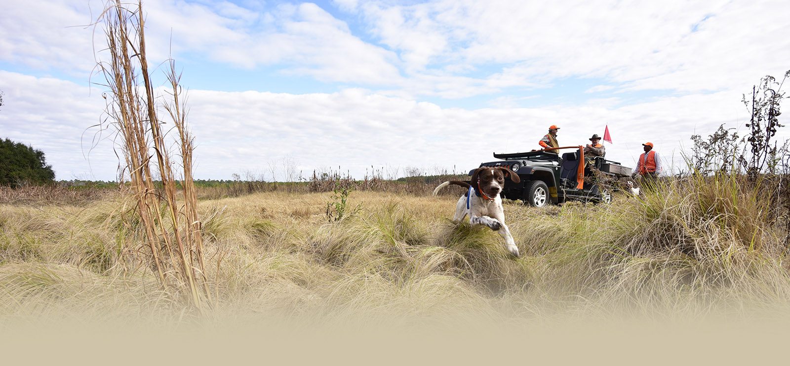 Home - Riverview Plantation